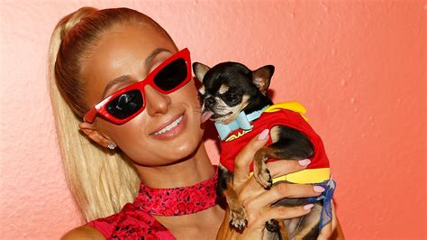 did paris hilton ever find diamond baby